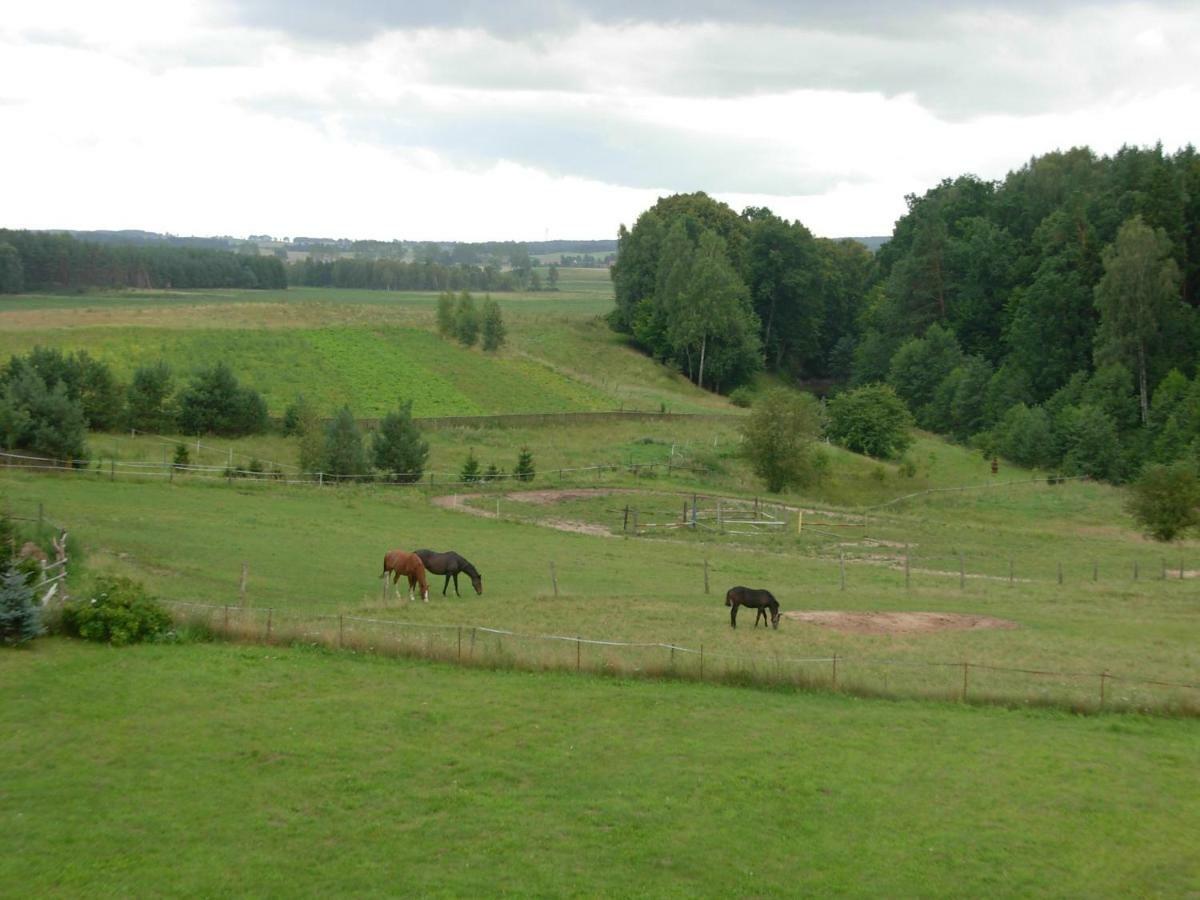 Agroturystyka Owczarnia Villa Kętrzyn Exterior foto